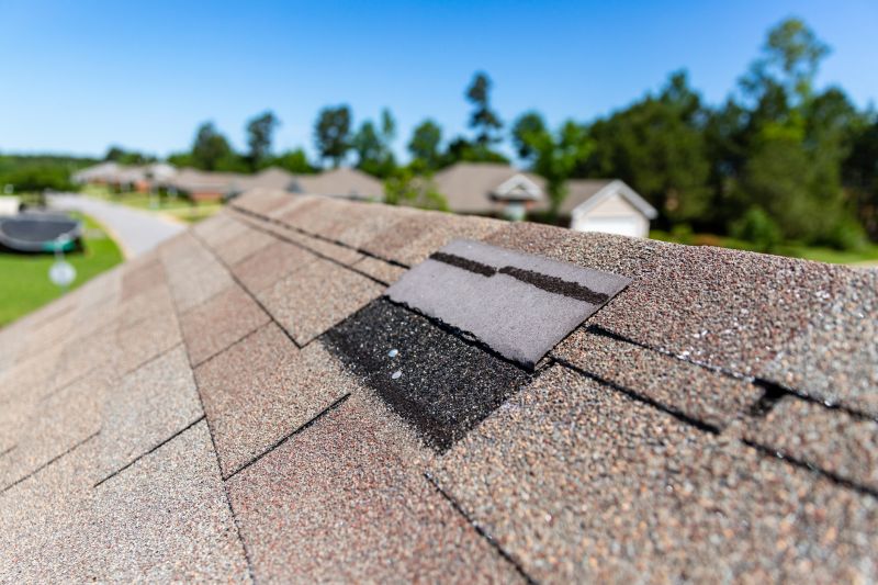 Asphalt Roof Leak Repair in Albrightsville, PA