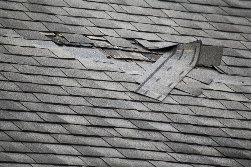 Asphalt Roof Repair in Albrightsville, PA