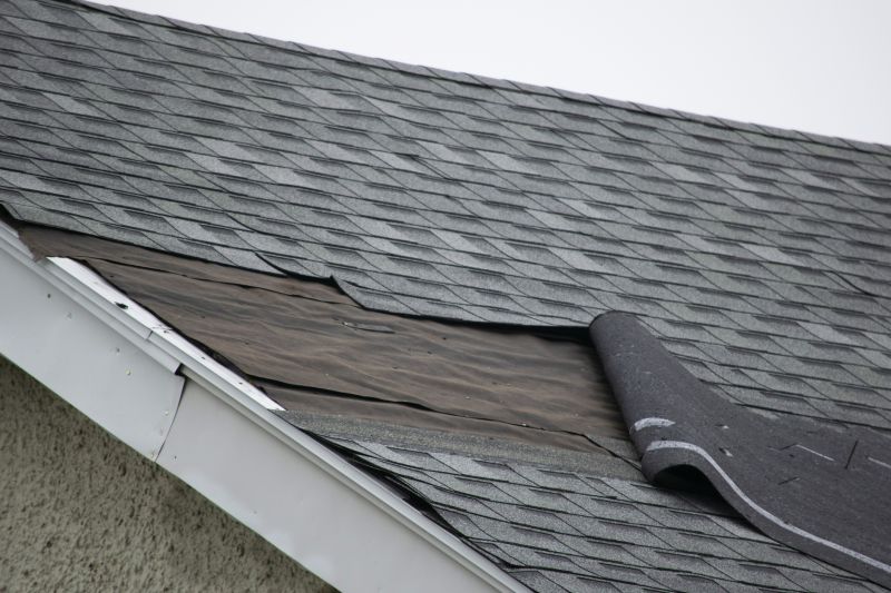 Asphalt Shingles Repair in Luzerne County, PA