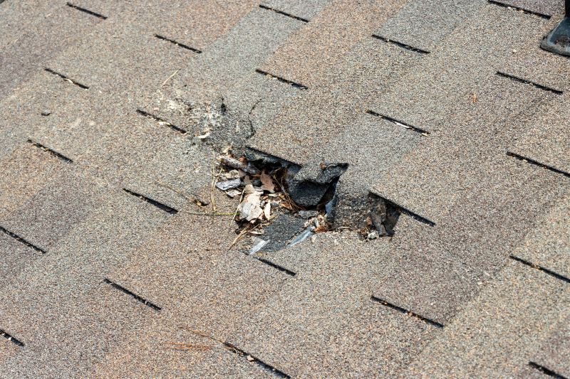 Damaged Roof Replacement in Wilkes Barre, PA