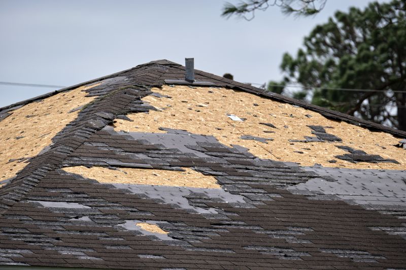 Roof Damage Inspection in Albrightsville, PA