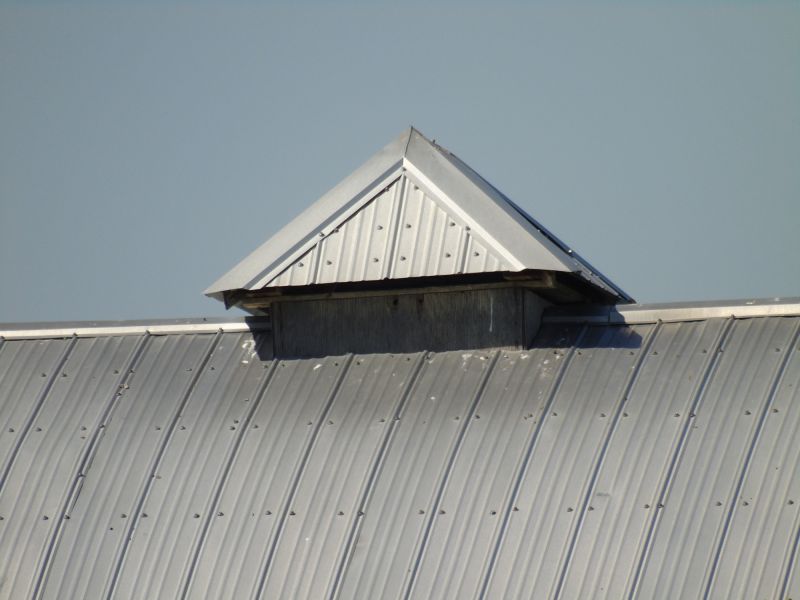 Tin Roof Installation in Dallas, PA
