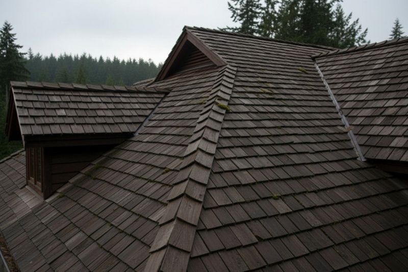 Wood Shake Roof Replacement in Tunkhannock, PA